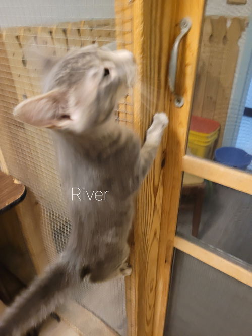 River