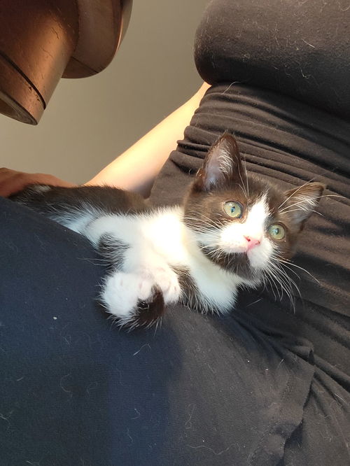 Peanut