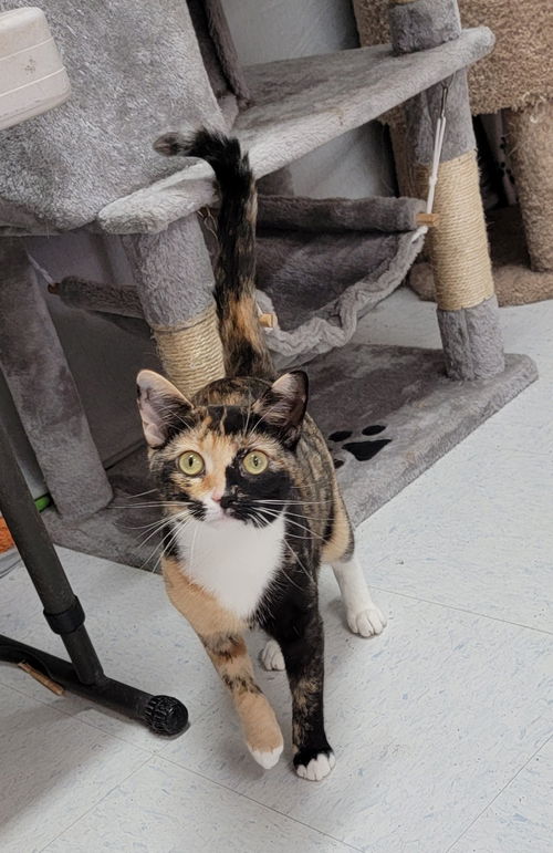 Kiki