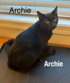 Archie