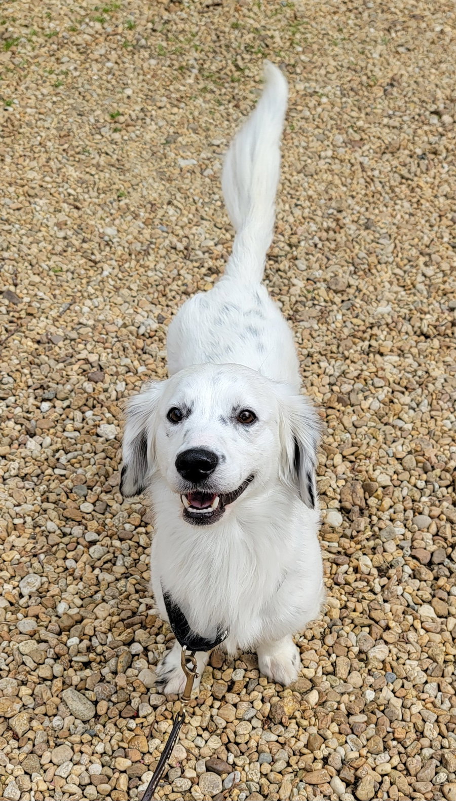 Kita