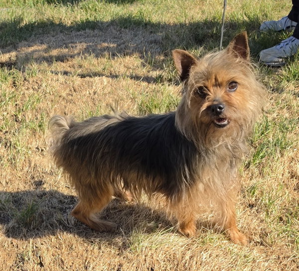 Chloe