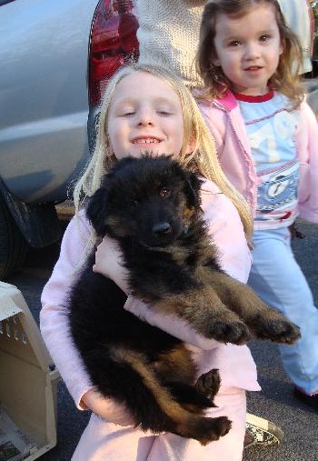 Poodle and Furball