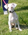 Stewart