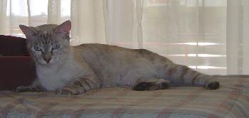 Crystal