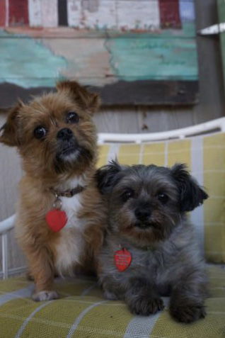 Penny and Zoey