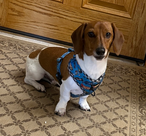 Monty