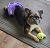 Nelly