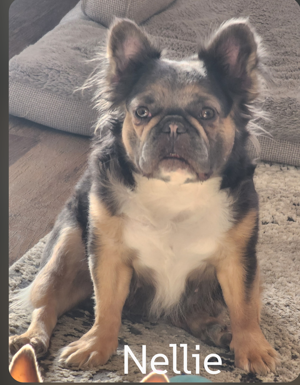 Nelly