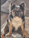 Nelly