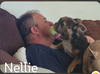 Nelly - Photo 7