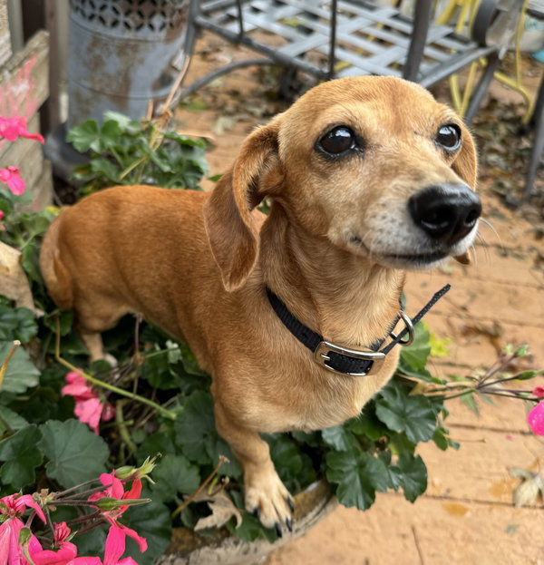 Ellie
