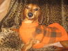 Rusty Jo