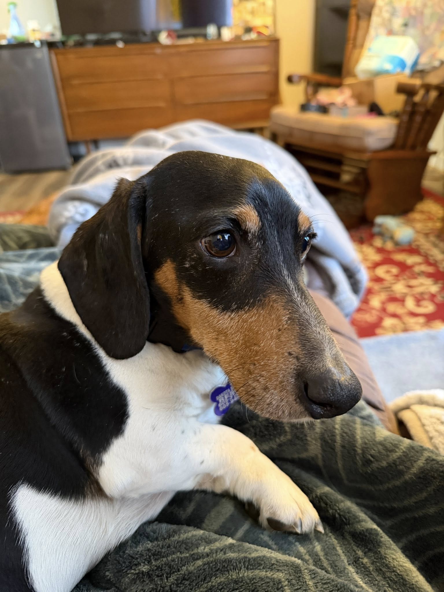 Gus