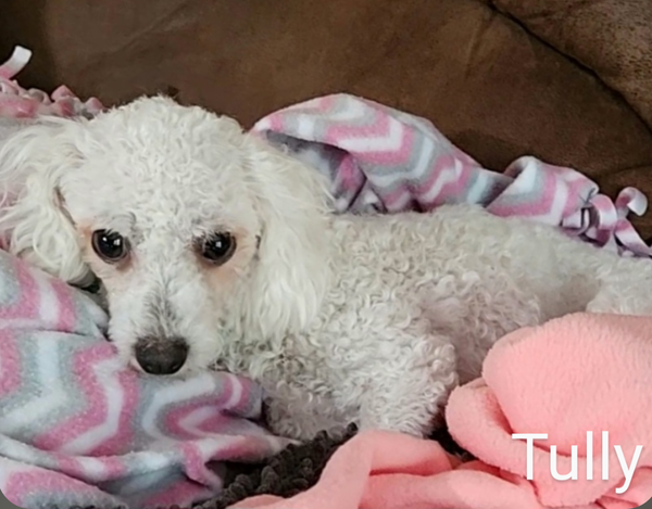 Tully