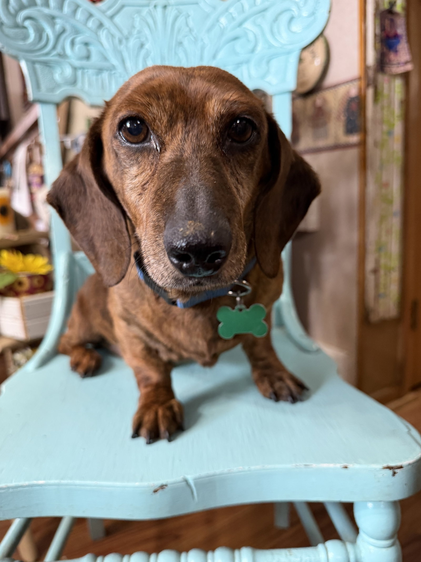Archie
