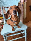 Edith