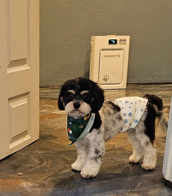 Benny