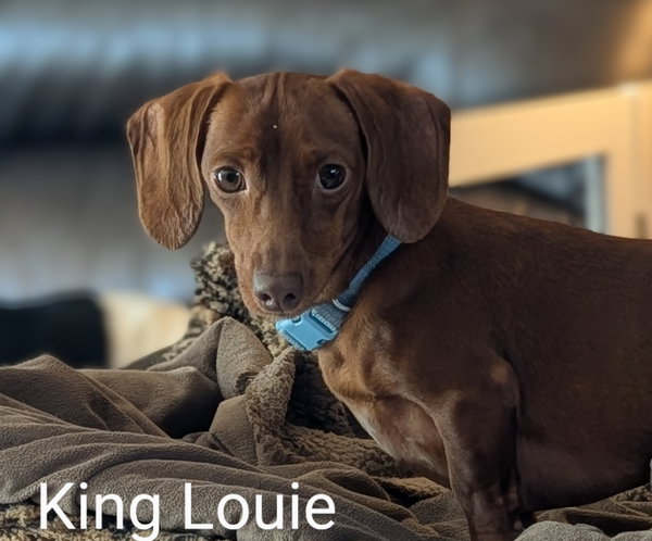 King Louie and Buster
