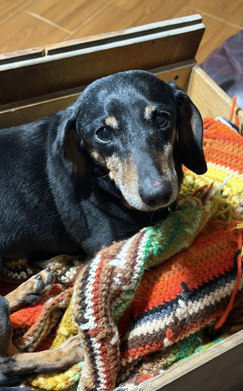 Tucker photo 2