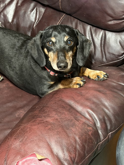 Tucker photo 3