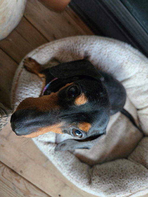 Frank photo 2