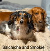Smokie