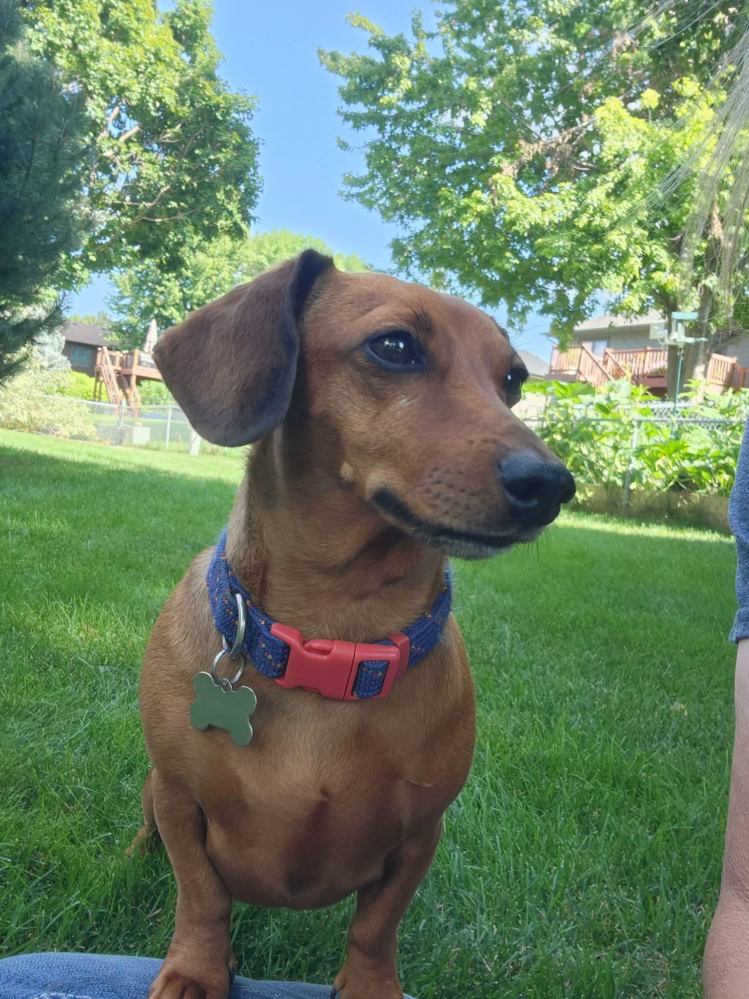 Miles