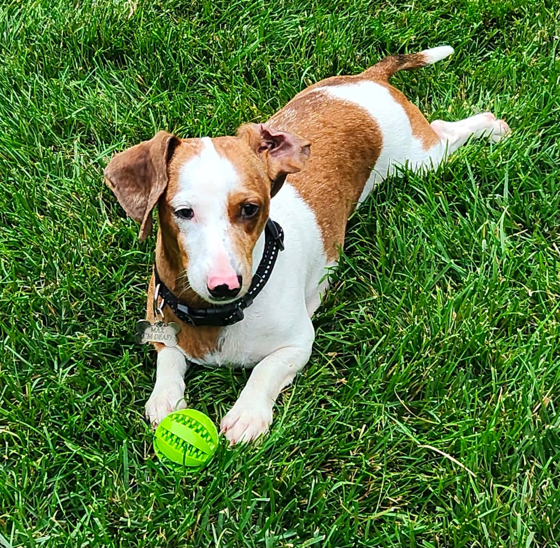 Max