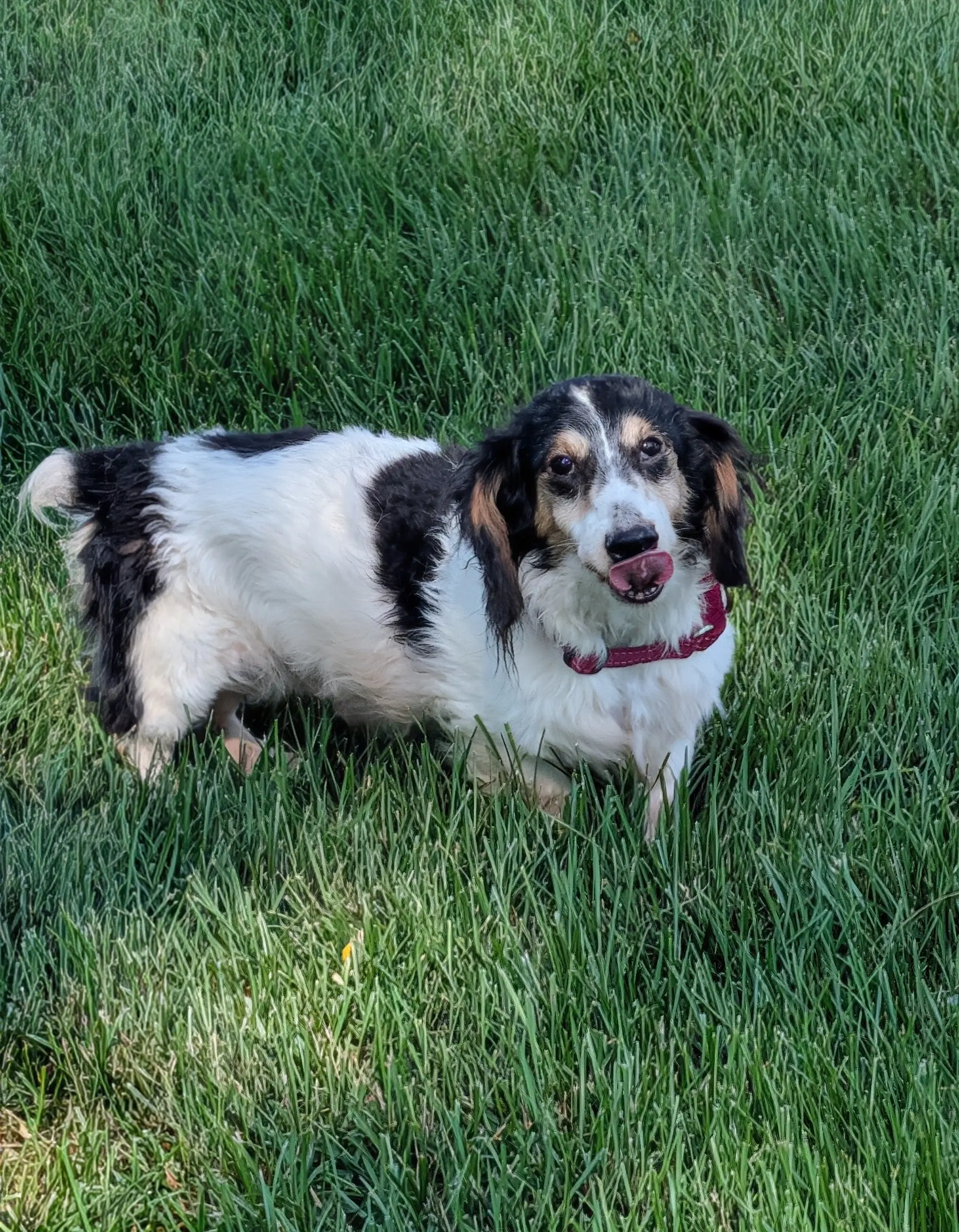 Ernie image 3