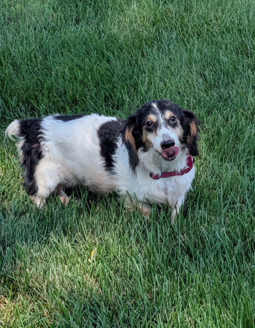 Photo 2 of Ernie