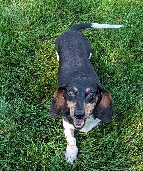 Photo 2 of Olivia