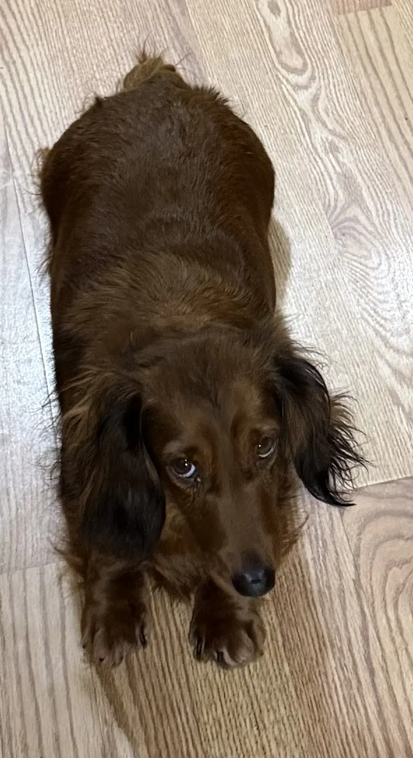 Louella image 4