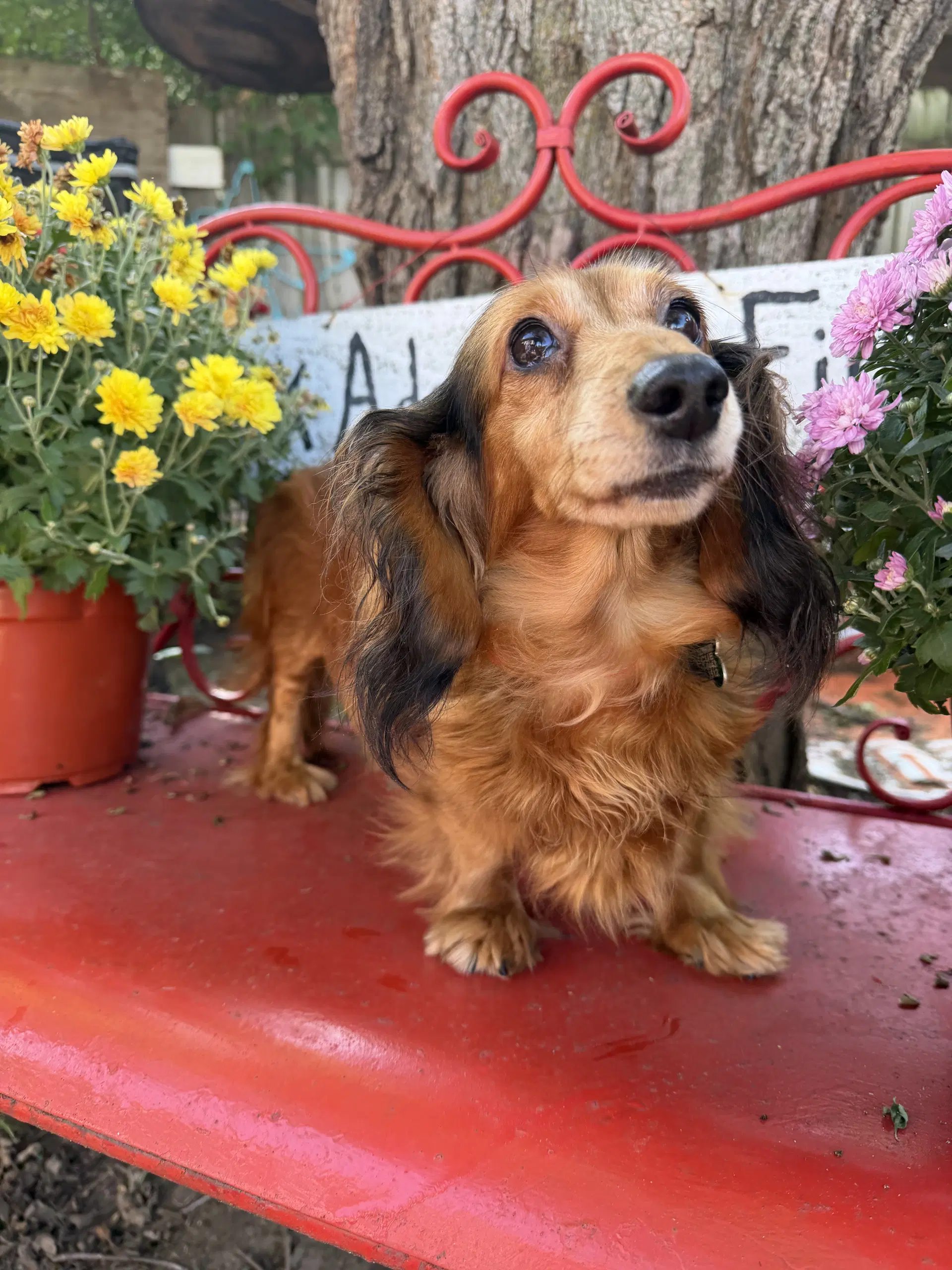 Winnie image 3