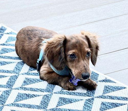 Photo 2 of Maverick