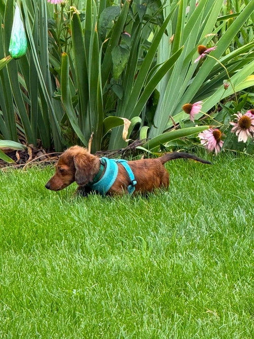 Photo 4 of Maverick