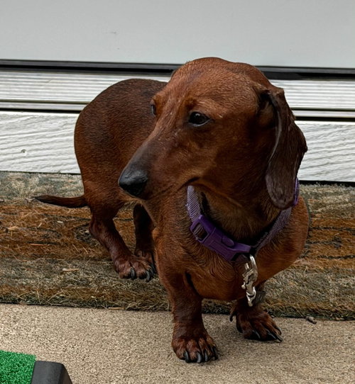 Photo 2 of Hazel