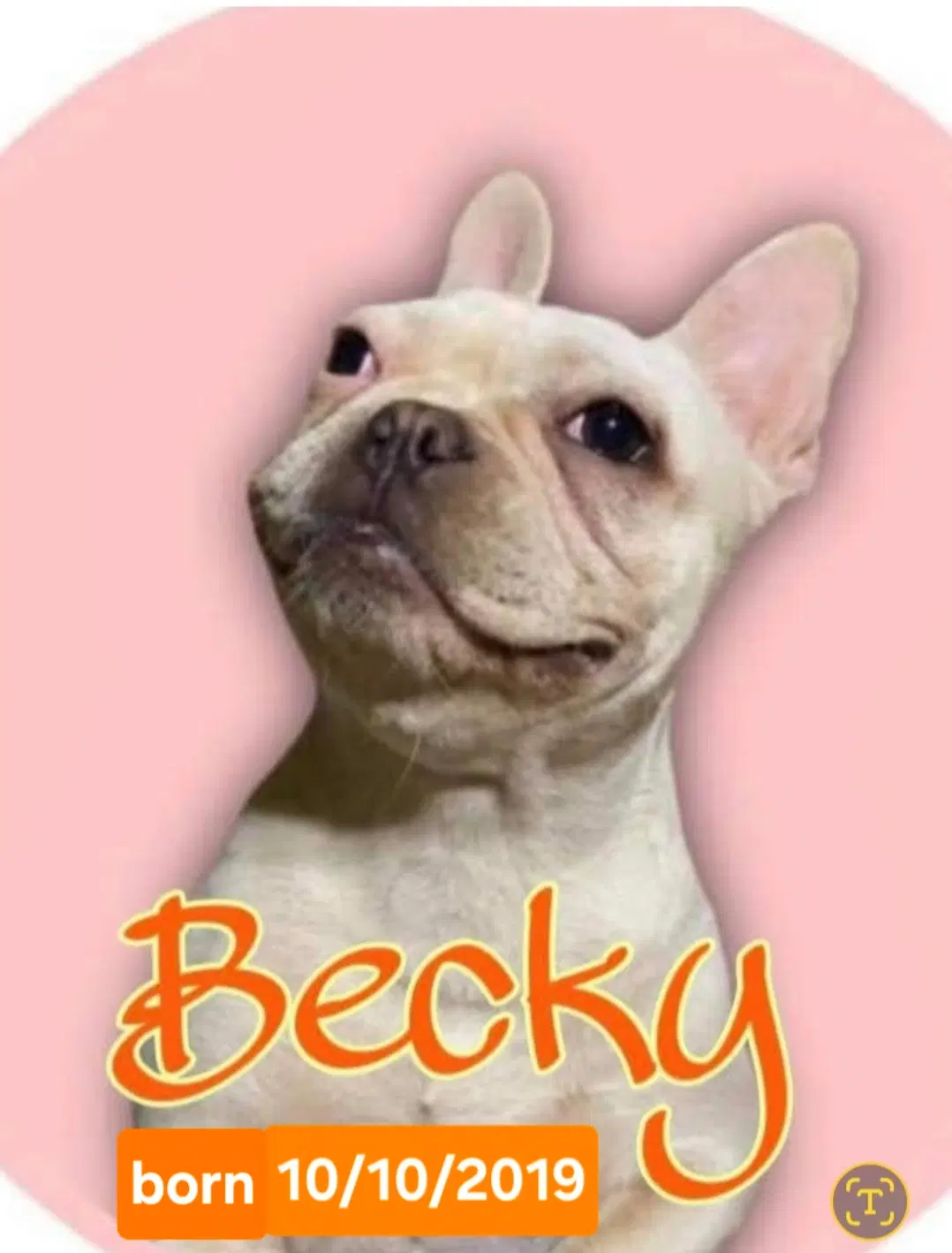 Becky image 3