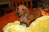 Tucker