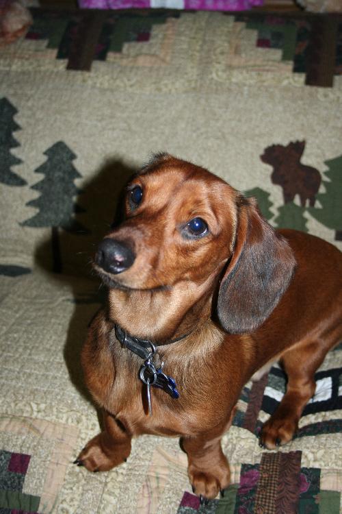 Spud