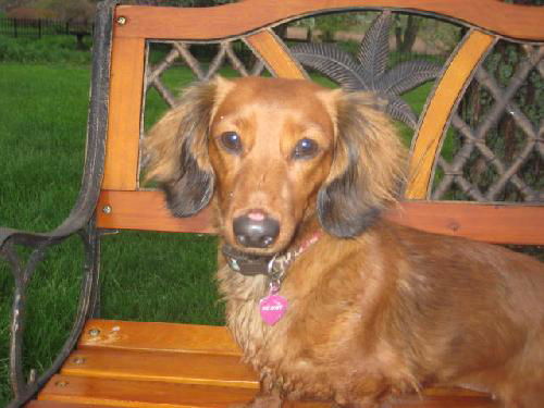 Pretty Penny
