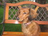 Pretty Penny