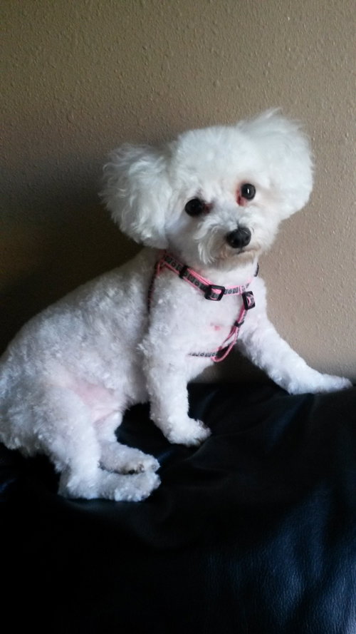 Sophie