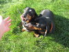 Spartacus and Alexander
