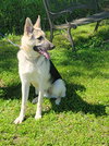 Rubin - Photo 3