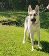 Rubin - Photo 4