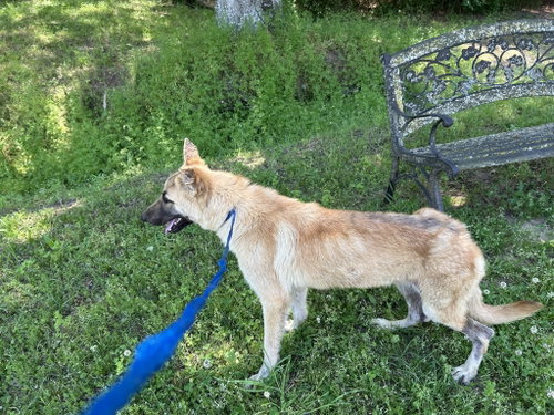 Gerri photo 3