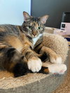 Mama Coco - Photo 3
