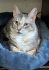 Momma Tortilla - Photo 1