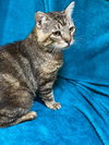 Gimli - Photo 2